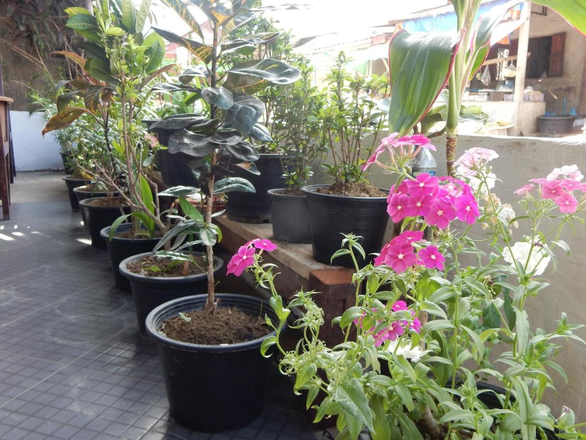 Vang Vieng Camellia Hotel المظهر الخارجي الصورة